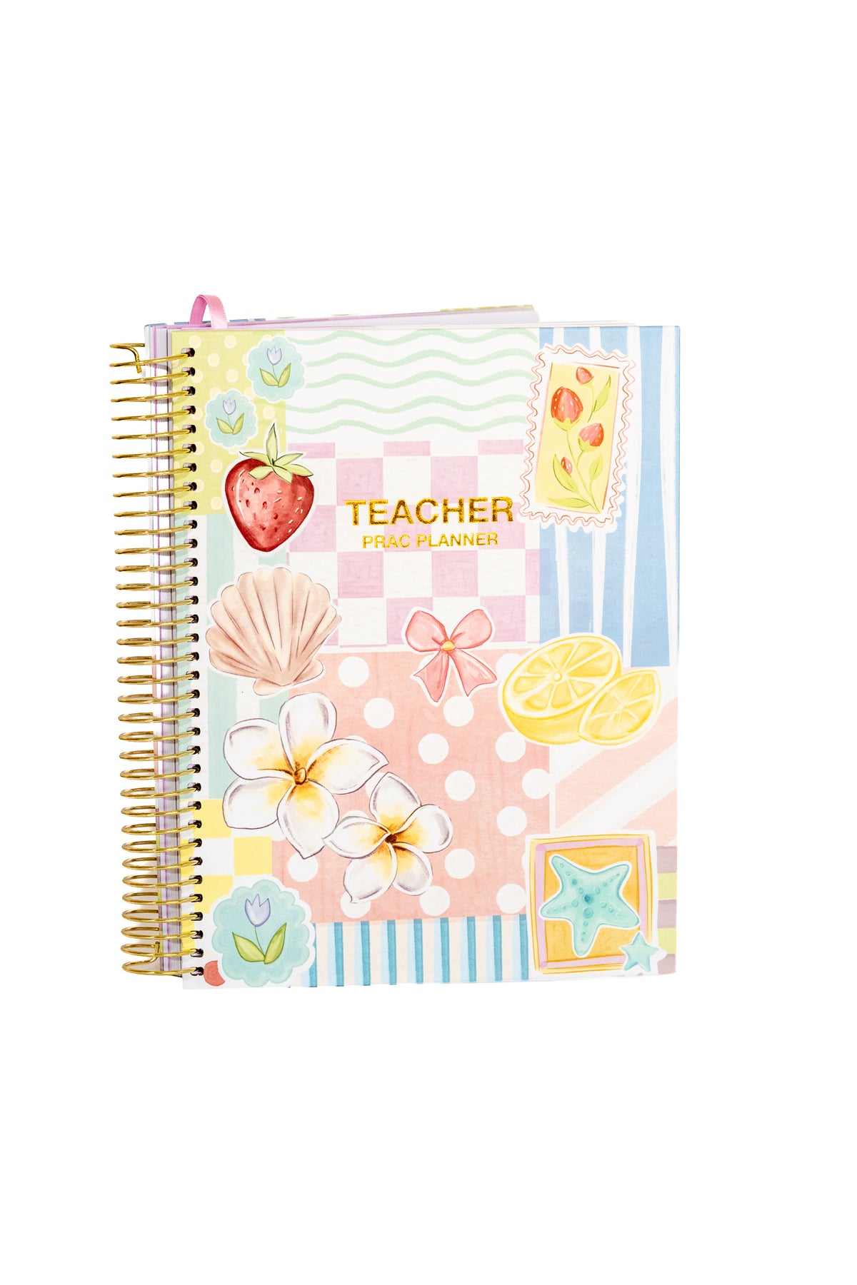 Pre-Order Daydream Teacher Prac Planner