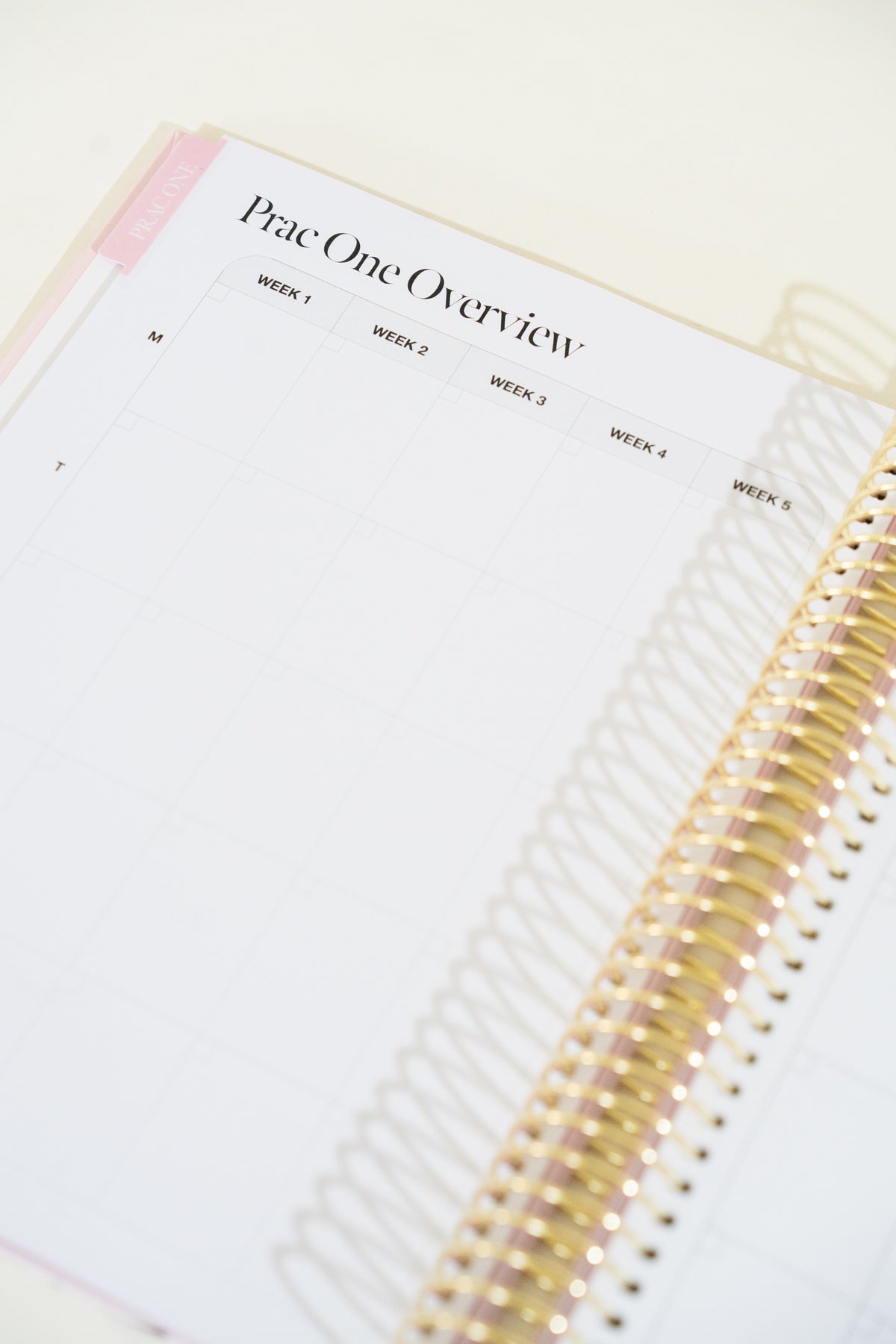 Pre-Order Bloom Single Teacher Prac Planner