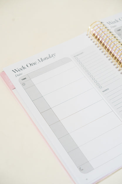 Pre-Order Daydream Single Teacher Prac Planner