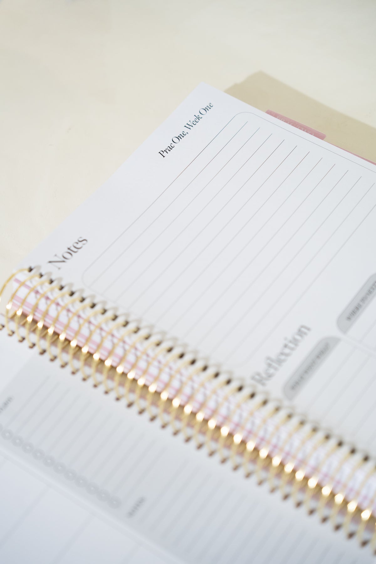 Pre-Order Daydream Single Teacher Prac Planner