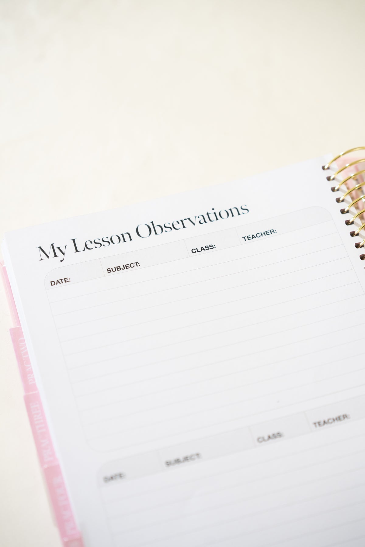 Pre-Order Daydream Single Teacher Prac Planner