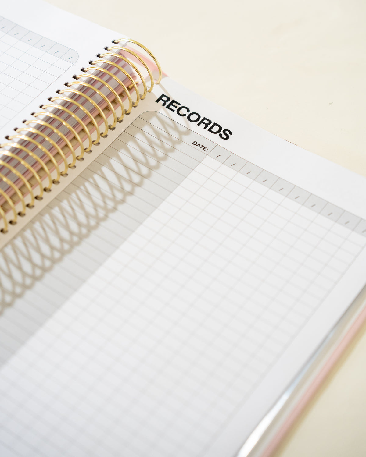 Pre-Order Daydream Single Teacher Prac Planner