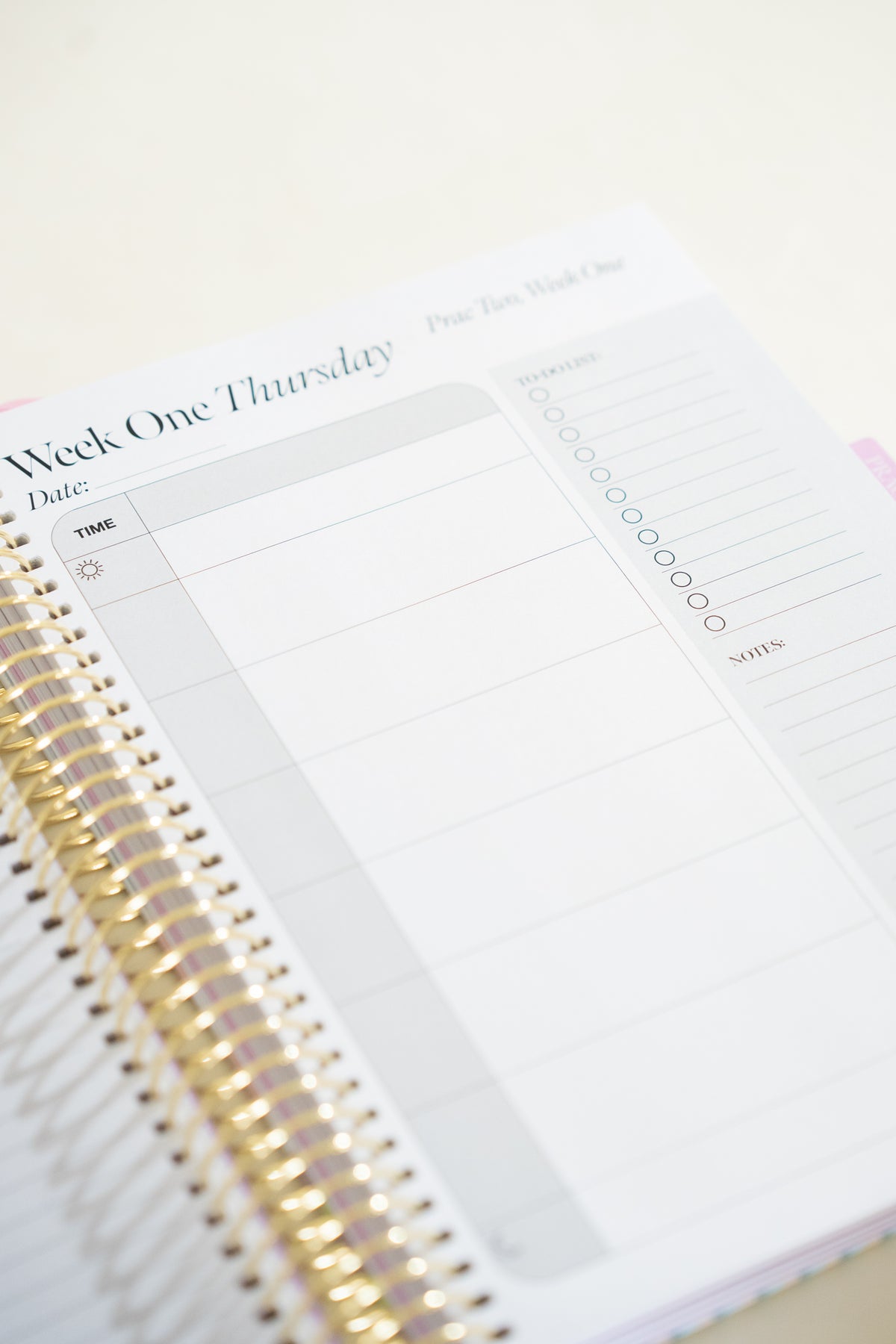 Pre-Order Daydream Teacher Prac Planner