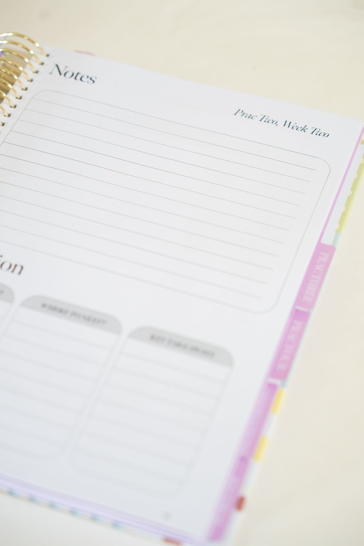 Pre-Order Bloom Teacher Prac Planner