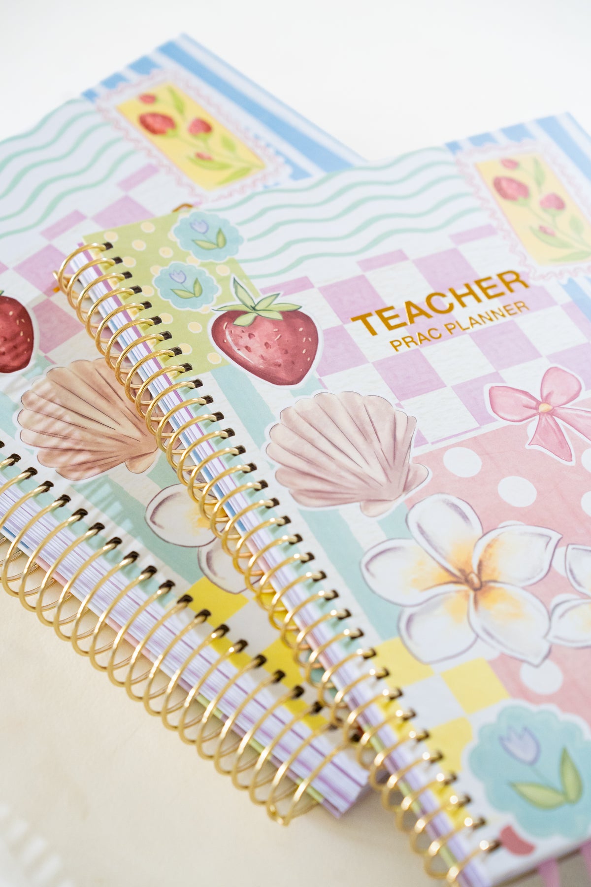 Pre-Order Daydream Single Teacher Prac Planner