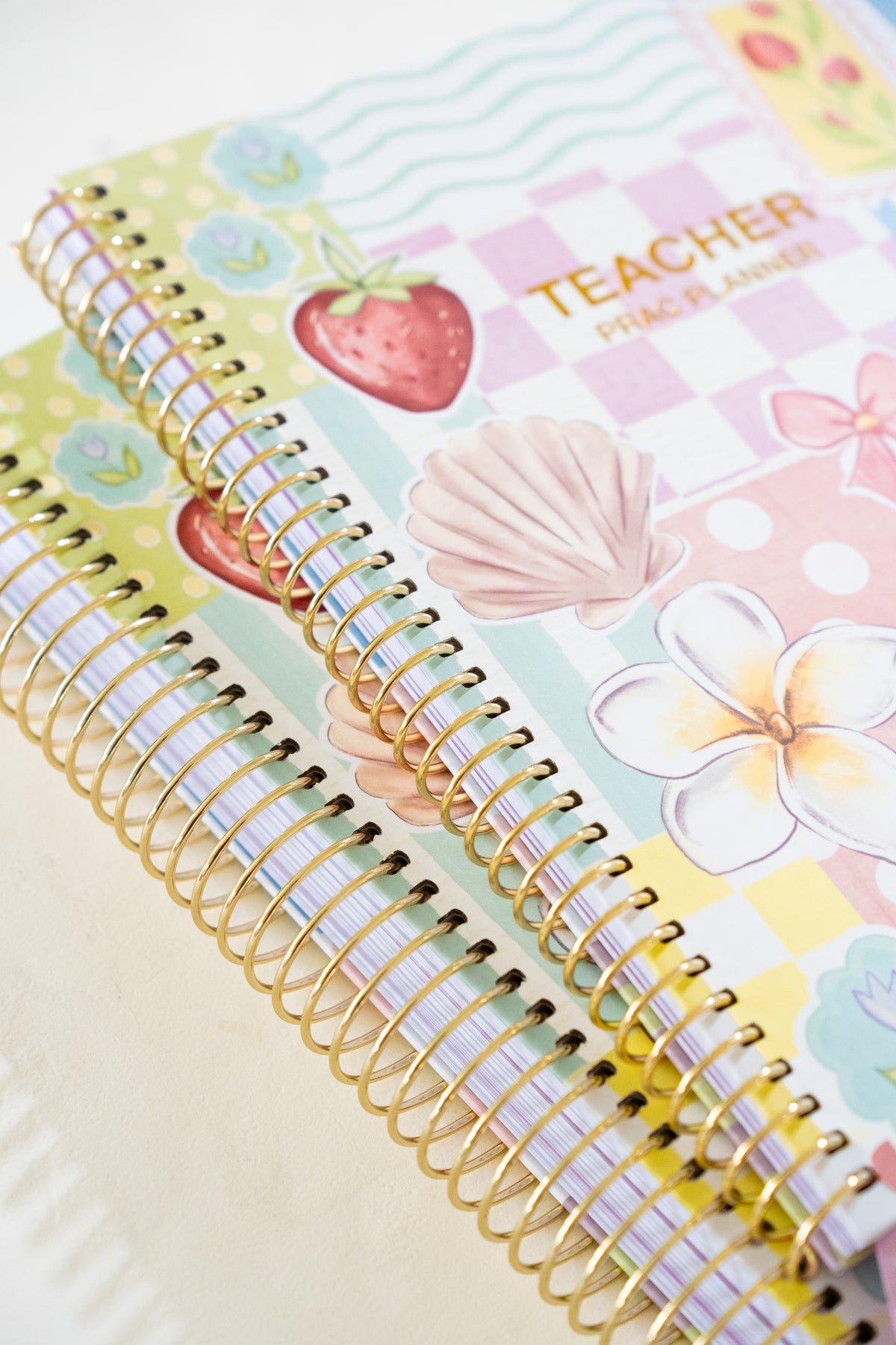 Pre-Order Daydream Teacher Prac Planner