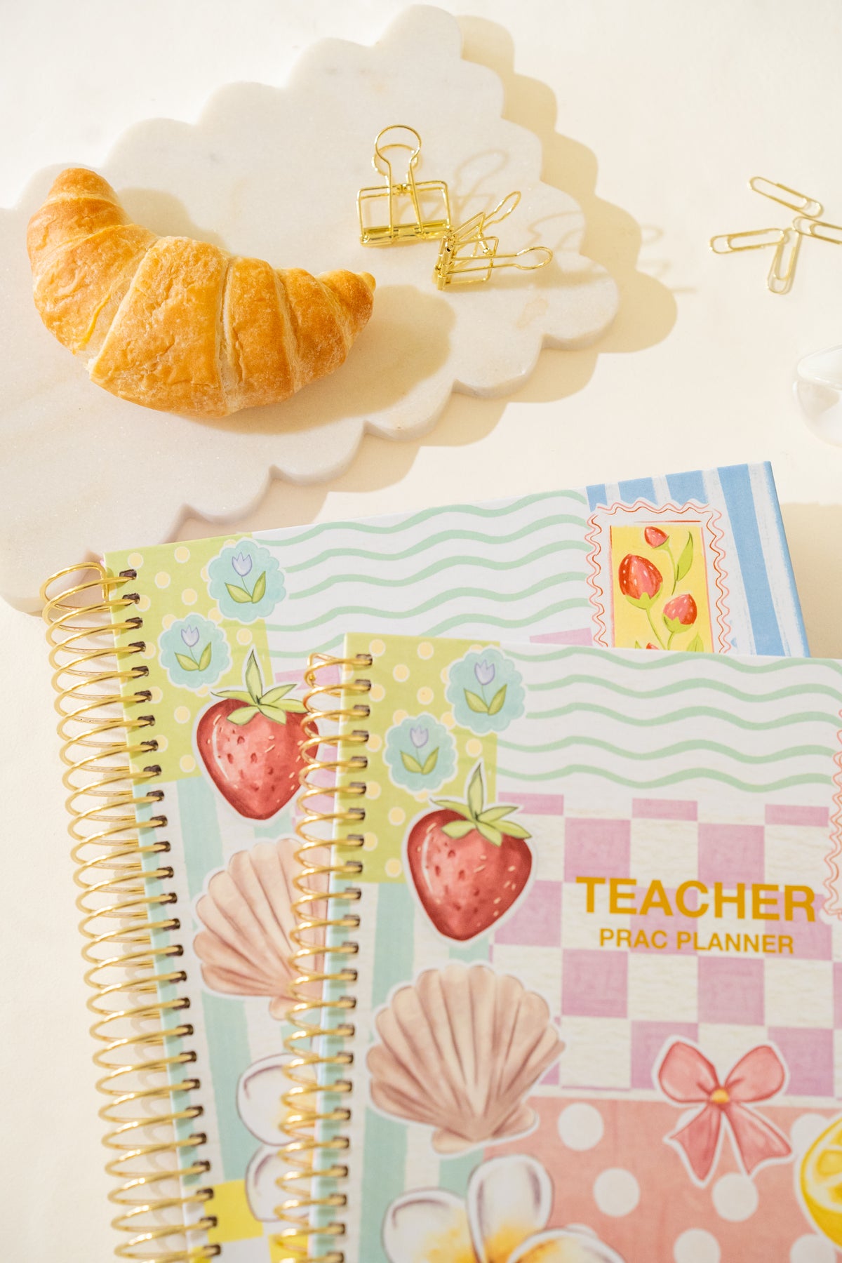Pre-Order Daydream Teacher Prac Planner